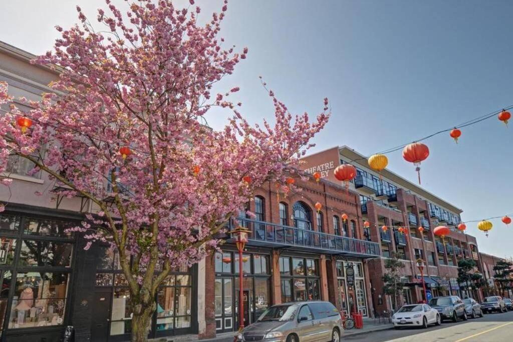 Clean 3Rd Floor Executive 1 Bedroom Apt In Old Town China Town Victoria Dış mekan fotoğraf